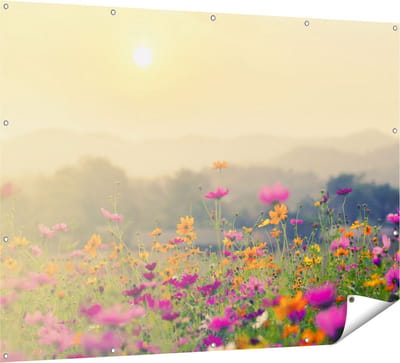 Gards Tuinposter Bloemenveld met Kosmos - Zonsondergang - 160x120 cm - Tuindoek - Tuindecoratie - Wanddecoratie buiten - Tuinschilderij