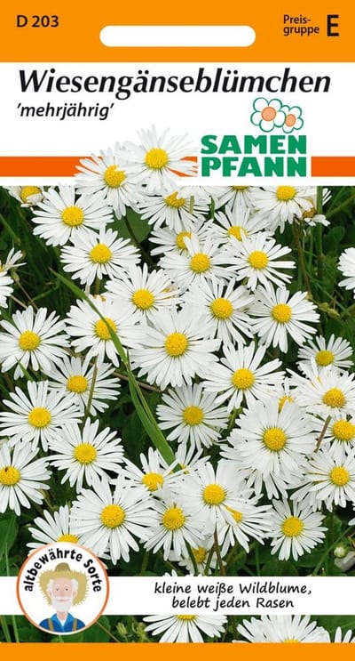 Madeliefjes, weidemadeliefjes - Bestverkochte bloemzaden, zaden