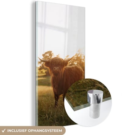 MuchoWow® Glasschilderij 20x40 cm - Schilderij acrylglas - Schotse hooglander - Gras - Zon - Foto op glas - Schilderijen