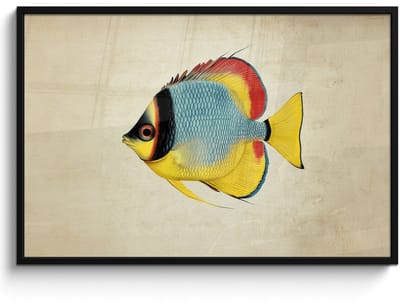 Poster in lijst - Fotolijst 120x80 cm - Posters - Kleurrijk - Vis - Schubben - Illustratie - Posterlijst zwart - Decoratie - Wanddecoratie woonkamer - Muurdecoratie slaapkamer