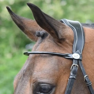 Ronde Verneine Frontale voor Paard Jump'In