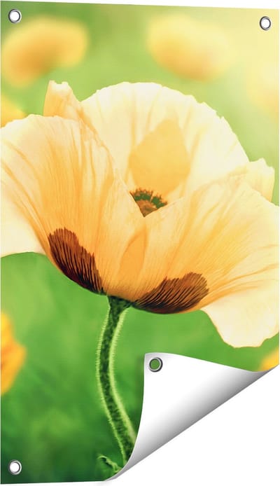 Gards Tuinposter Oranje Klaproos Bloemen - 40x60 cm - Tuindoek - Tuindecoratie - Wanddecoratie buiten - Tuinschilderij
