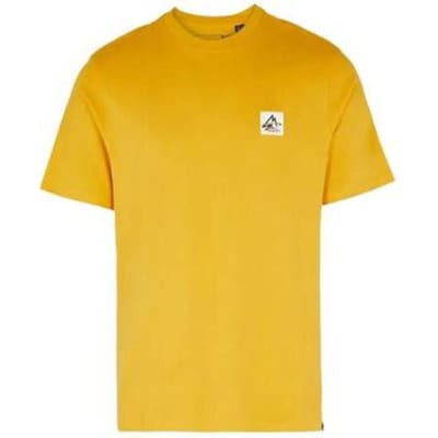 T-shirt O'neill Hollyridge