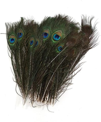 Natuurlijke Pauwenveren Set van 10, 25-30 cm, Creatieve Veren voor Knutselen, Decoratie voor Maskers, Dromenvangers en Feestdagen