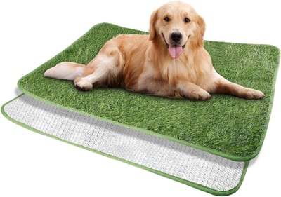 Kunstgras Puppy Toilet Training Mat 50 x 70 cm - Wasbare en Waterdichte Hondentoiletmat voor Thuisgebruik