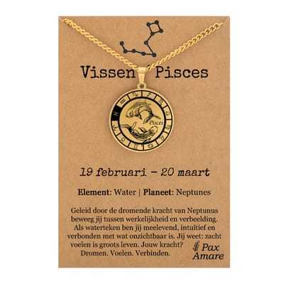 Vissen / Pisces Sterrenbeeld Ketting op Cadeau Kaartje - Goudkleurig - RVS - Spiritueel Cadeau - 60cm - Pax Amare