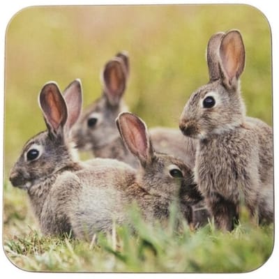 Mars & More Onderzetters – Konijnenfamilie (Set van 6, 10x10cm)