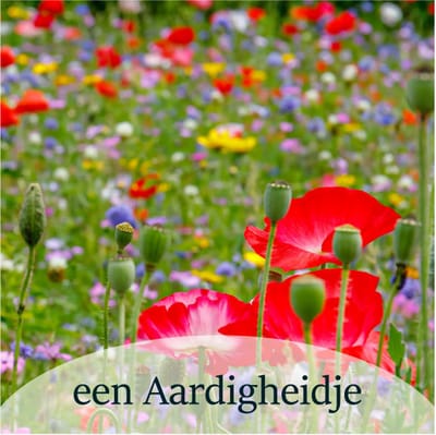 Luxe Bloemenkaartje - "Een Aardigheidje" - Cadeaukaartje - Bloemenlabel - Kaartje - 7x7 cm - 20 stuks - Met Boorgaatje