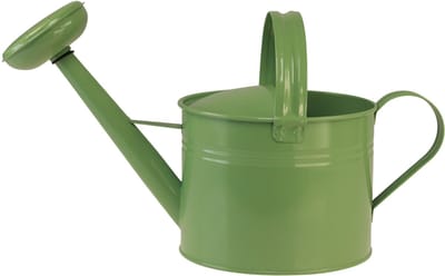 Decoratieve metalen gieter, mintkleur, voor planten & decoratie, lente