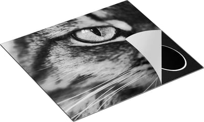 Chefcare Inductie Beschermer Kat met Groene Ogen van Dichtbij - Zwart Wit - 60x50 cm - Afdekplaat Inductie - Kookplaat Beschermer - Inductie Mat