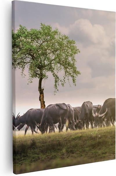 Artaza Canvas Schilderij Kudde Buffels - 40x50 cm - Wanddecoratie Boom - Muurdecoratie Wilde Dieren - Kamer Accessoires Bos