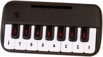 Draagbare Mini Piano - Speelgoed Keyboard - Muziek Leren - 15 Toetsen - 20.4 cm - Zwart