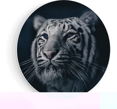 Artaza Forex Muurcirkel Tijgerkop Met Blauwe Ogen - Zwart Wit - 40x40 cm - Klein - Wandcirkel - Rond Schilderij - Wanddecoratie Cirkel