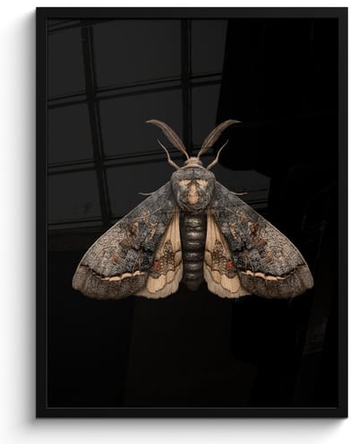 Poster in lijst - Fotolijst 50x70 cm - Posters - Mot - Bladachtig - Grijs - Posterlijst zwart - Decoratie - Wanddecoratie woonkamer - Muurdecoratie slaapkamer