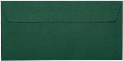 25 Gekleurde DIN Lang Enveloppen 110x220 mm Zelfklevend voor Kaarten en Zakelijke Post