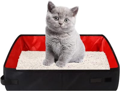 ANMI® Reiskattenbak - Draagbare kattenbak opvouwbaar - Waterdicht en antislip - Oxford doek - 40 x 30 x 11 cm - Kattentoilet voor onderweg