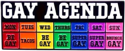 Gay Agenda Enamel Pin – LGBTQ+ Regenboog Badge – Pride Accessoire 4 cm