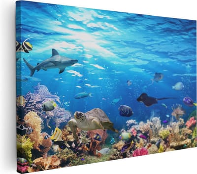 Artaza Canvas Schilderij Zeeschildpad - 30x20 cm - Klein - Wanddecoratie Dieren - Muurdecoratie Tropische Vissen - Schilderijen Op Canvas Zee