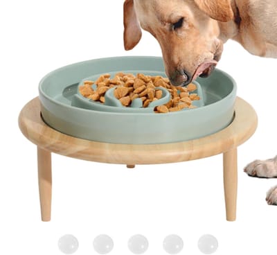 Honden voerbak - Langzame eter - Gezond eten - Verhoogde houten standaard - 20 x 20 x 13 cm - Lichtgroen