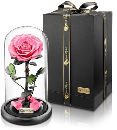 Dailygoods- Roos Premium Geconserveerd - Infinity Roos - Geschenkdoos - Decoratie - Bruiloften - Valentijnsdag - Hoge kwaliteit - Geconserveerde Roos
