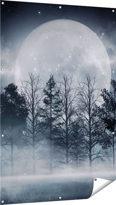 Gards Tuinposter Maan tussen de Bomen in de Nacht - 100x150 cm - Tuindoek - Tuindecoratie - Wanddecoratie buiten - Tuinschilderij