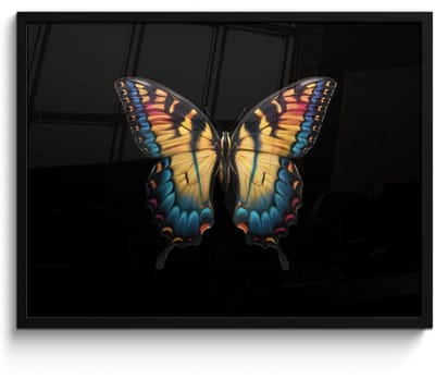 Poster in lijst - Fotolijst 70x50 cm - Posters - Vlinder - Kleurrijk - Speels - Posterlijst zwart - Decoratie - Wanddecoratie woonkamer - Muurdecoratie slaapkamer