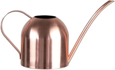 Gieter Lange Mond - Waterkannetje Kamerplant - Planten Water Geven - Roestvrij Staal - 500ml - Groen Goud
