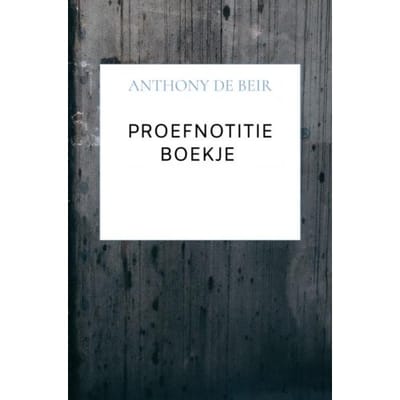 Proefnotitie Boekje - Anthony De Beir