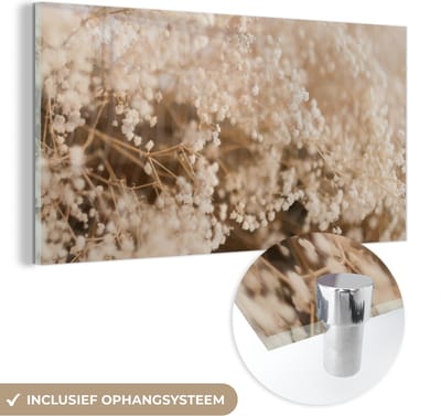 MuchoWow® Glasschilderij 40x20 cm - Schilderij acrylglas - Pampasgras - Plant - Natuur - Foto op glas - Schilderijen