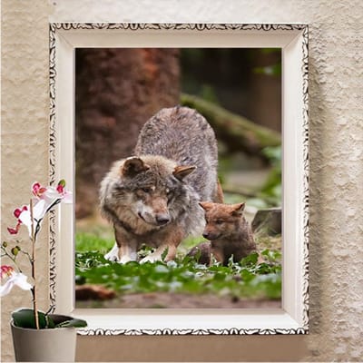 Diamant borduurwerk 5D DIY diamant schilderij diamant mozaïek foto's mozaïek cadeau strass woondecoratie Full Square 20X30CM