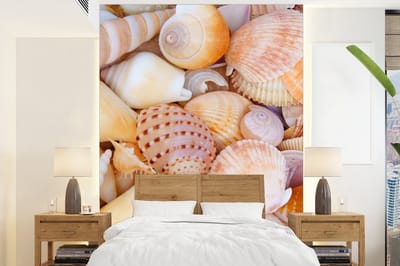 Behang - Fotobehang Schelpen - Strand - Zomer - Oranje - Breedte 165 cm x hoogte 220 cm