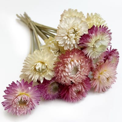 Gedroogde Bloem Boeketten - Natuurlijke Decoratie - Huis Aankleden - 100% Natuurlijk - 16 Stuks - Roze Wit