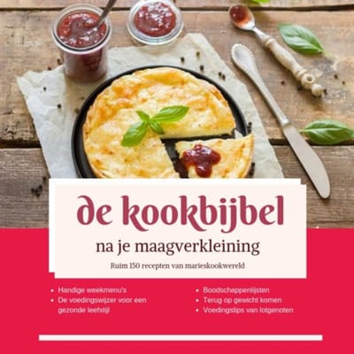 De Kookbijbel Na Je Maagverkleining - Marie josee Koks