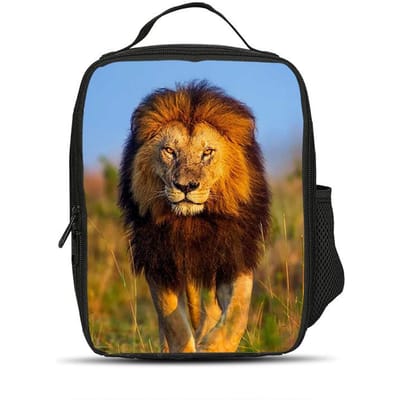 leeuw IJszak Lunchtas Veelzijdig Cartoon Grote Capaciteit Sterke Prestaties Beste Cadeau voor Jongen of Meisje School Verjaardag