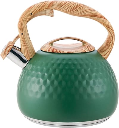 SnelShoppen - Fluitketel 3L Roestvrij Staal - Theepot voor Inductie en Gas - Ergonomische Handgreep - Ideaal voor Keuken, Camping en Kantoor - Groen
