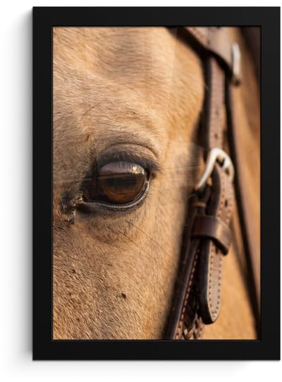 Poster in lijst - Fotolijst 20x30 cm - Posters - Paard - Oog - Bruin - Posterlijst zwart - Decoratie - Wanddecoratie woonkamer - Muurdecoratie slaapkamer