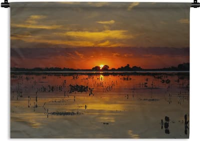 Wandkleed - Wanddoek - Rode gloed in de lucht bij de Pantanal - 60x45 cm - Wandtapijt