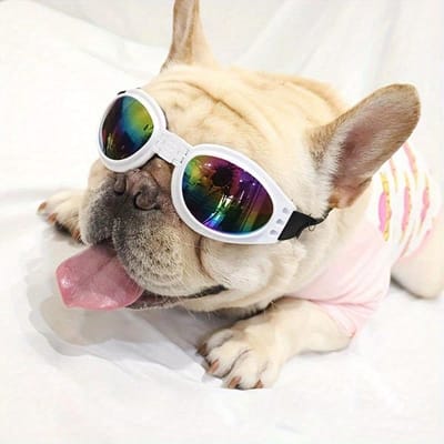 1pc Lunettes de soleil pliables pour animaux de compagnie Lunettes UV pour chiens et chats XS blanc