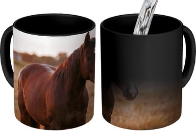 Magische Mok - Foto op Warmte Mokken - Koffiemok - Paard - Zonsondergang - Bruin - Magic Mok - Beker - 350 ML - Theemok
