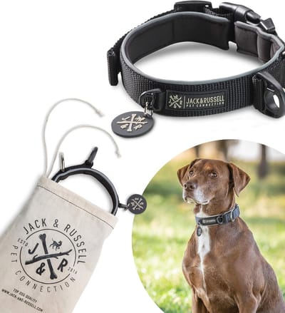 Premium hondenhalsband voor grote en kleine honden - Diverse kleuren en maten beschikbaar