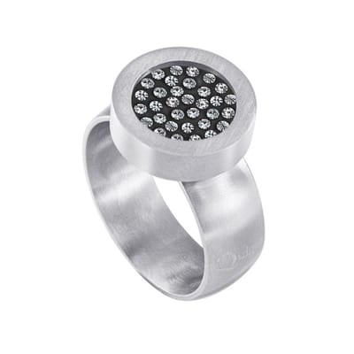 Quiges RVS Schroefsysteem Ring Zilverkleurig Mat 16mm met Verwisselbare Zirkonia 12mm Mini Munt