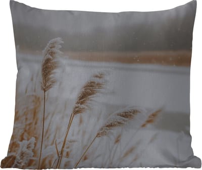 Tuinkussen - Riet - Meer - Winter - Natuur - Sneeuw - Beige - 40x40 cm - Weerbestendig