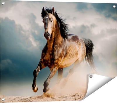 Gards Tuinposter Wilde Paard in het Zand - 80x60 cm - Tuindoek - Tuindecoratie - Wanddecoratie buiten - Tuinschilderij