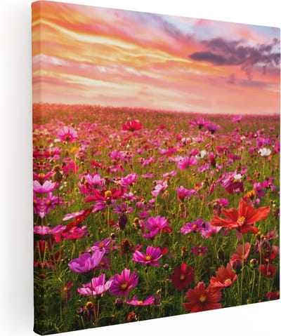 Artaza Canvas Schilderij Bloemenveld - 80x80 cm - Wanddecoratie Bloemen - Muurdecoratie Zonsondergang - Schilderijen Op Canvas