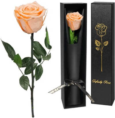 Dailygoods- Eeuwige Roos Hoogwaardige Echte Roos - Infinity Roos - Cadeau voor Moederdag - Geconserveerde Bloemen - Geschenkdoos - Handgemaakt