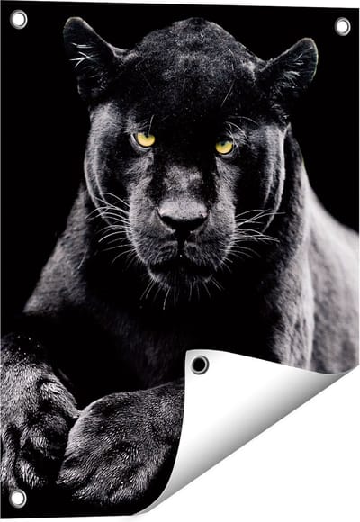 Gards Tuinposter Zwarte Panter - 40x50 cm - Tuindoek - Tuindecoratie - Wanddecoratie buiten - Tuinschilderij
