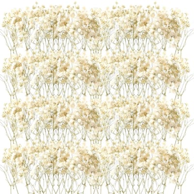 Dailygoods- Miniaturen 50 Stuks - Droogbloemen Witte Baby Sterrenbloemen - DIY Kaarsen - Resin Sieraden - Nagelkunst - Ambachten - Gedroogde Bloemen