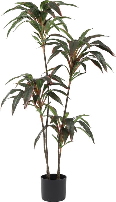 Kunst Dracaena Roodrand | 120cm - Dracaena kunstplant - Kunstplant dracaena - Groen/Rood