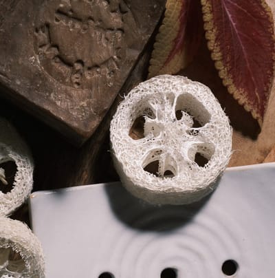 Eanna - Luffa Zeepbakje - Gedroogde komkommerplant - Ook geschikt als scrub - Verwijdert dode huidcellen - 2.5cm diameter