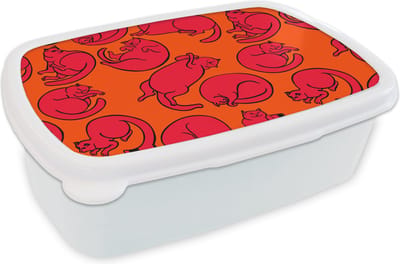 Broodtrommel Wit - Lunchbox - Brooddoos - Patronen - Kat - Oranje - Jongens - Meisjes - Kinderen - Kindje - 18x12x6 cm - Volwassenen